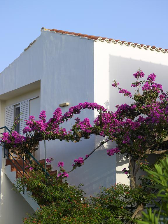Mousses Apartments & Studios كيساموس الغرفة الصورة